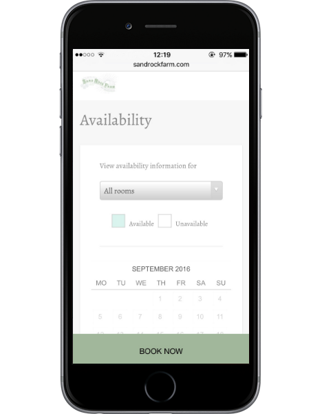 local seo guide - mobile friendly website