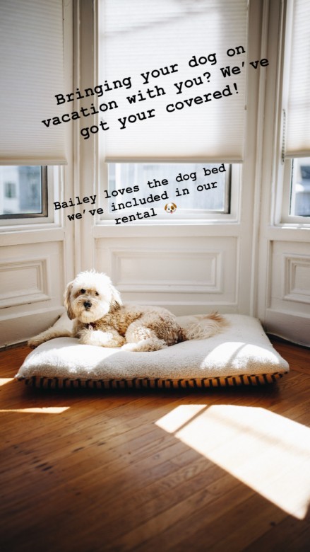 pets vacation rentals