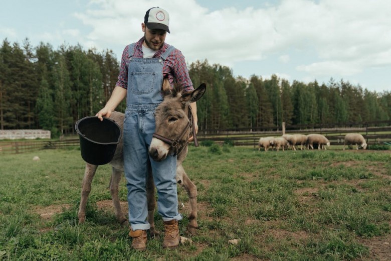 Agri-ecotourism
