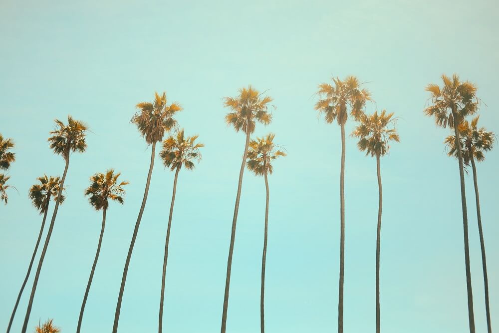 California Airbnb laws