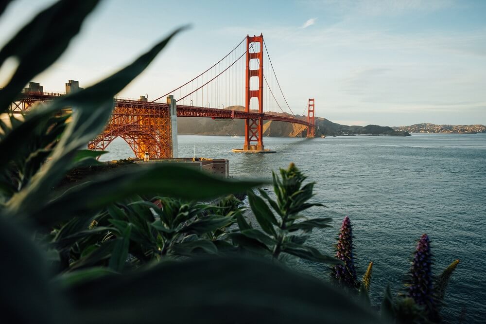 California Airbnb laws