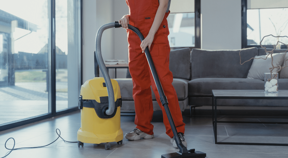 Home cleaner