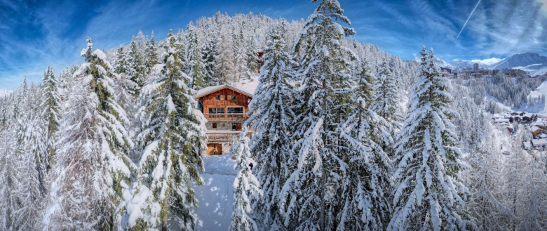 chalet a la montagne